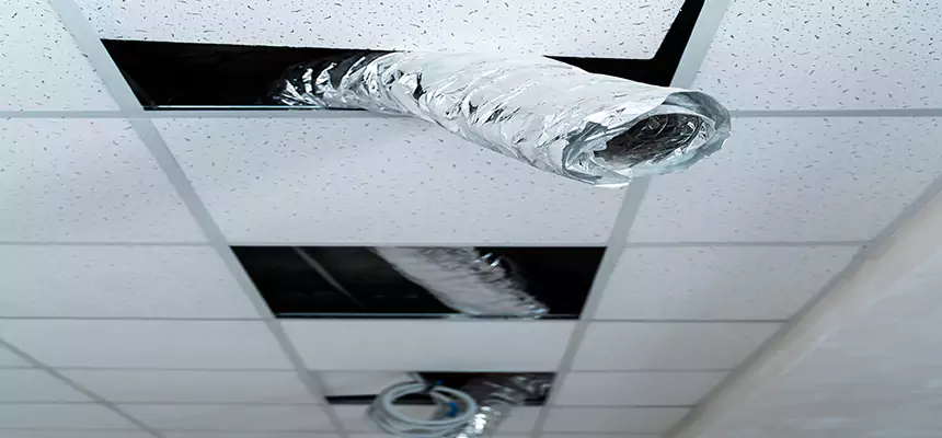 Affordable HVAC Sanitizing After Pest Removal in Newport Beach