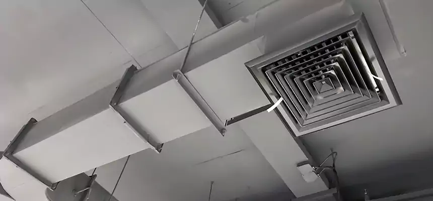 Restorative Allergy Relief Vent Cleaning – Coil, Blower & Housing Detail in Newport Beach