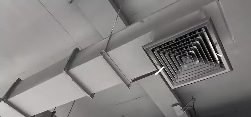 Our Rodent Droppings In Vents Services in Newport Beach, CA