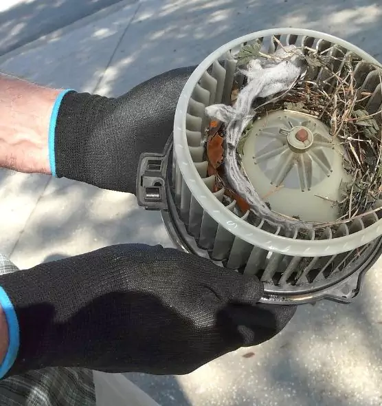 About Air Duct Mice Removal in Newport Beach, CA