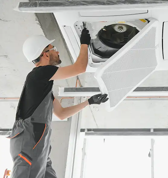 About Air Duct Rodent Removal in Newport Beach, CA