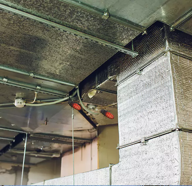 Why Homeowners & Businesses Trust Us in Newport Beach, CA?