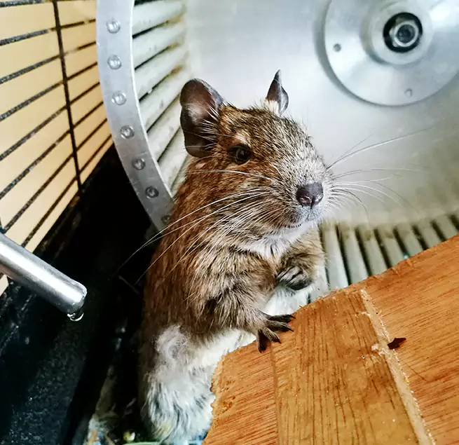 Why Homeowners & Businesses Trust Us Newport Beach, CA