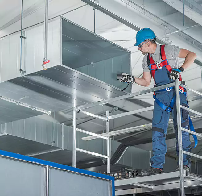 Why Homeowners & Businesses Trust Us in Newport Beach, CA?