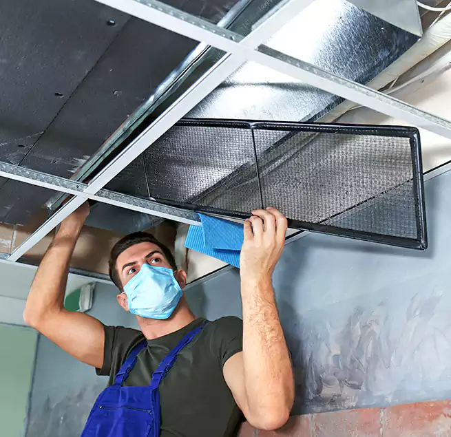 Why Homeowners Businesses Trust Us in Newport Beach, CA