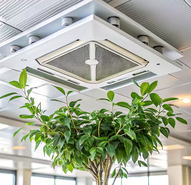 Why Homeowners & Businesses Trust Us in Newport Beach, CA?