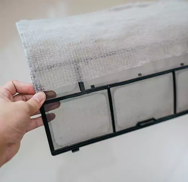 Why Homeowners & Businesses Trust Us in Newport Beach, CA?