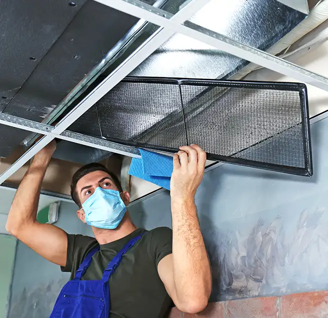 Why Homeowners & Businesses Trust Us in Newport Beach, CA?