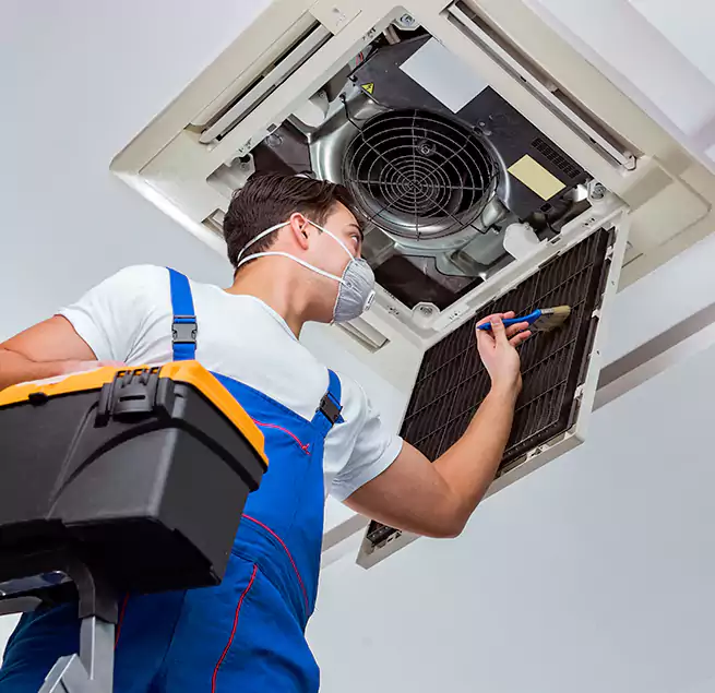 Why Homeowners & Businesses Trust Us in Newport Beach, CA?